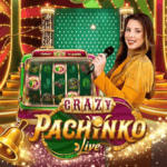 crazy pachinko casino game banner logo.