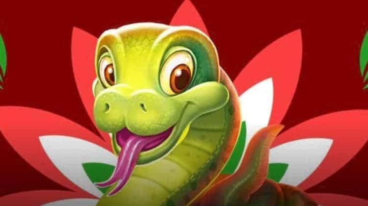 The head of a happy snake, an in-game character in Saanp Seedhi, one of the Animal Slots Cascade qualifying games.