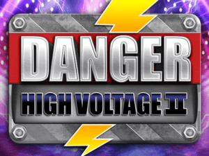 Danger High Voltage 2 Slot