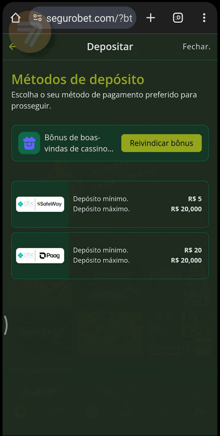 Captura de tela de como depositar passo 2.