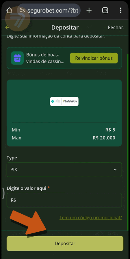 Captura de tela de como depositar passo 3.